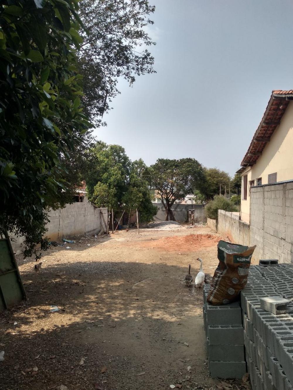 Foto 2 de Terreno Padrão em Jardim Santa Hermínia, São José dos Campos - imagem 2