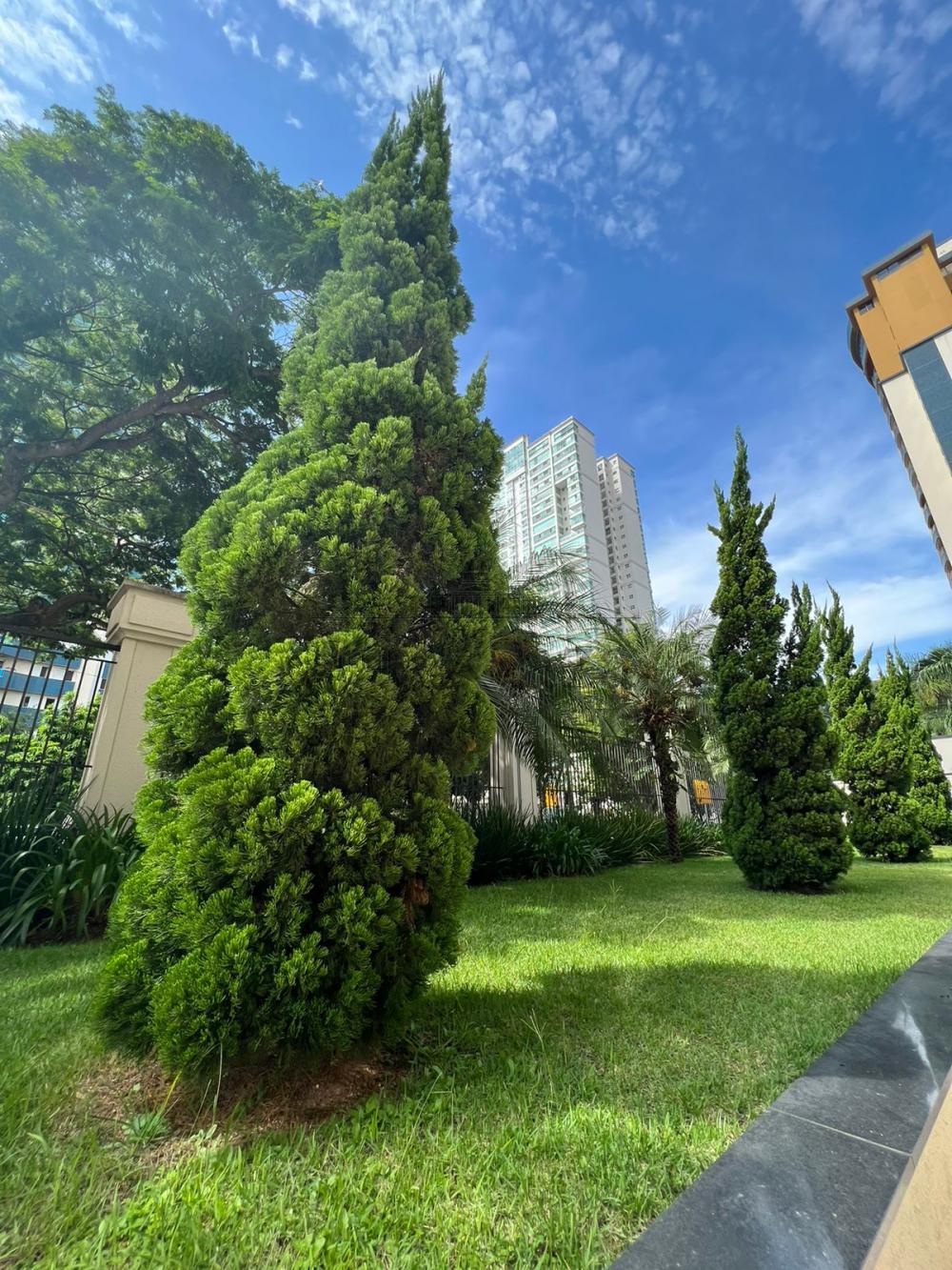 Foto 31 de Apartamento Padrão em Jardim Aquarius, São José dos Campos - imagem 31