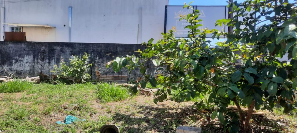 Foto 21 de Terreno Padrão em Jardim São Dimas, São José dos Campos - imagem 21