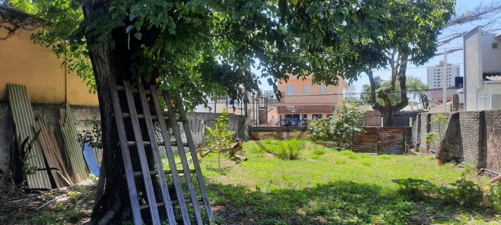 Foto 22 de Terreno Padrão em Jardim São Dimas, São José dos Campos - imagem 22