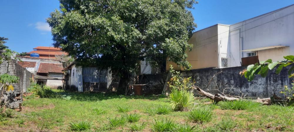 Foto 27 de Terreno Padrão em Jardim São Dimas, São José dos Campos - imagem 27
