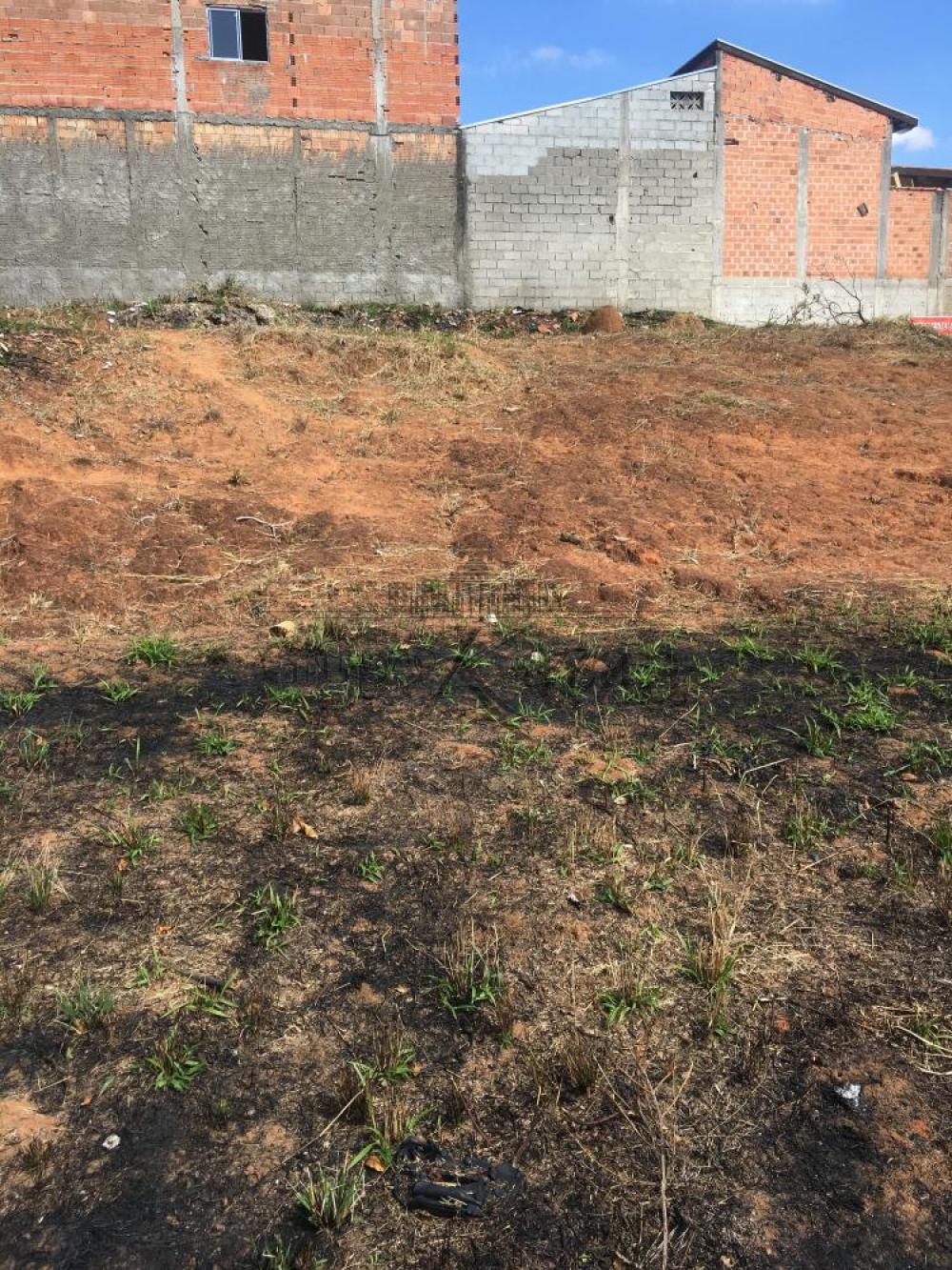 Foto 5 de Terreno Padrão em Residencial Dom Bosco, São José dos Campos - imagem 5