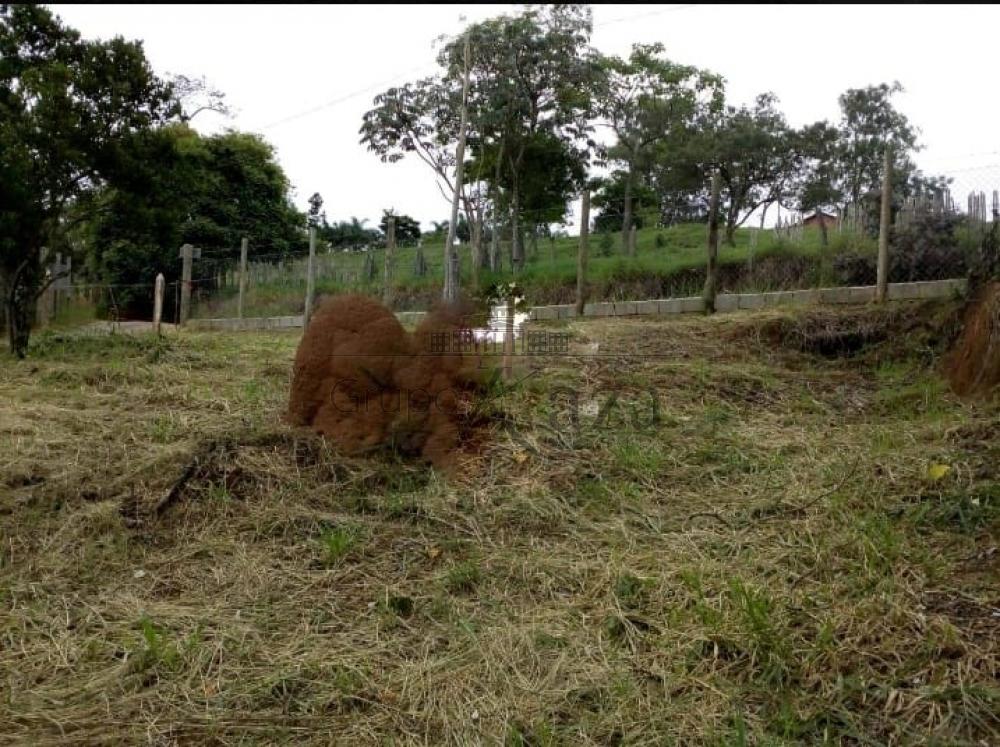 Foto 7 de Terreno Padrão em Bairro da Pernambucana, São José dos Campos - imagem 7