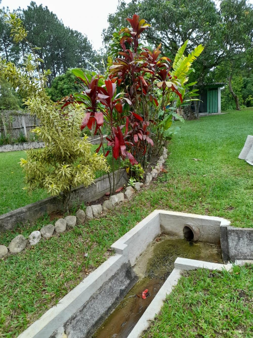 Foto 29 de Rural Chácara em Jardim Santa Hermínia, São José dos Campos - imagem 29