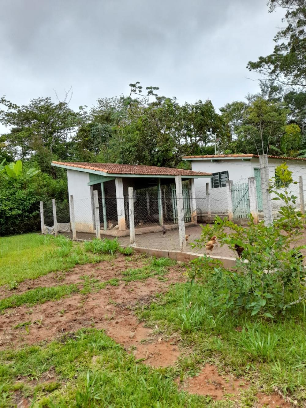 Foto 34 de Rural Chácara em Jardim Santa Hermínia, São José dos Campos - imagem 34