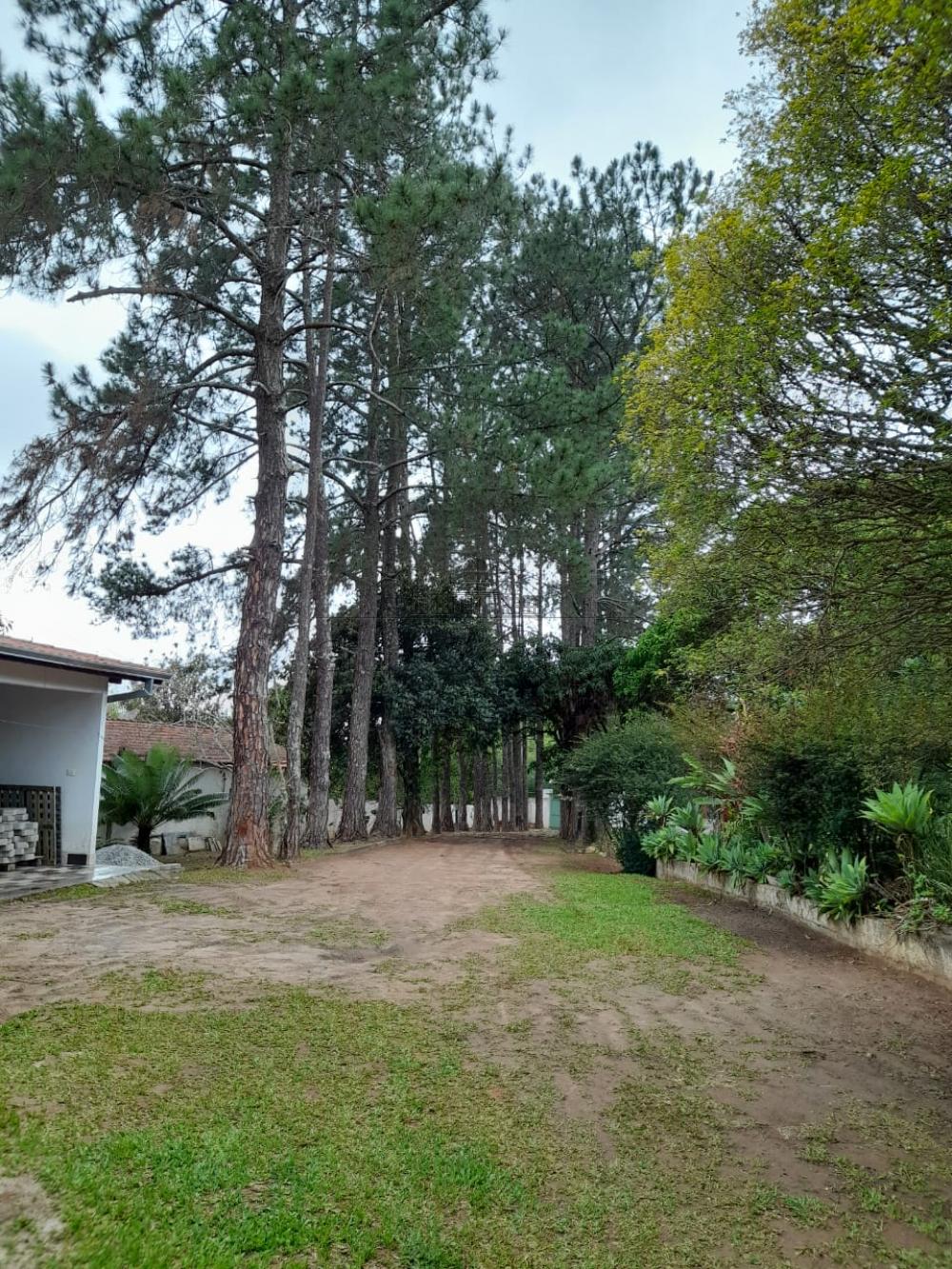 Foto 28 de Rural Chácara em Jardim Santa Hermínia, São José dos Campos - imagem 28