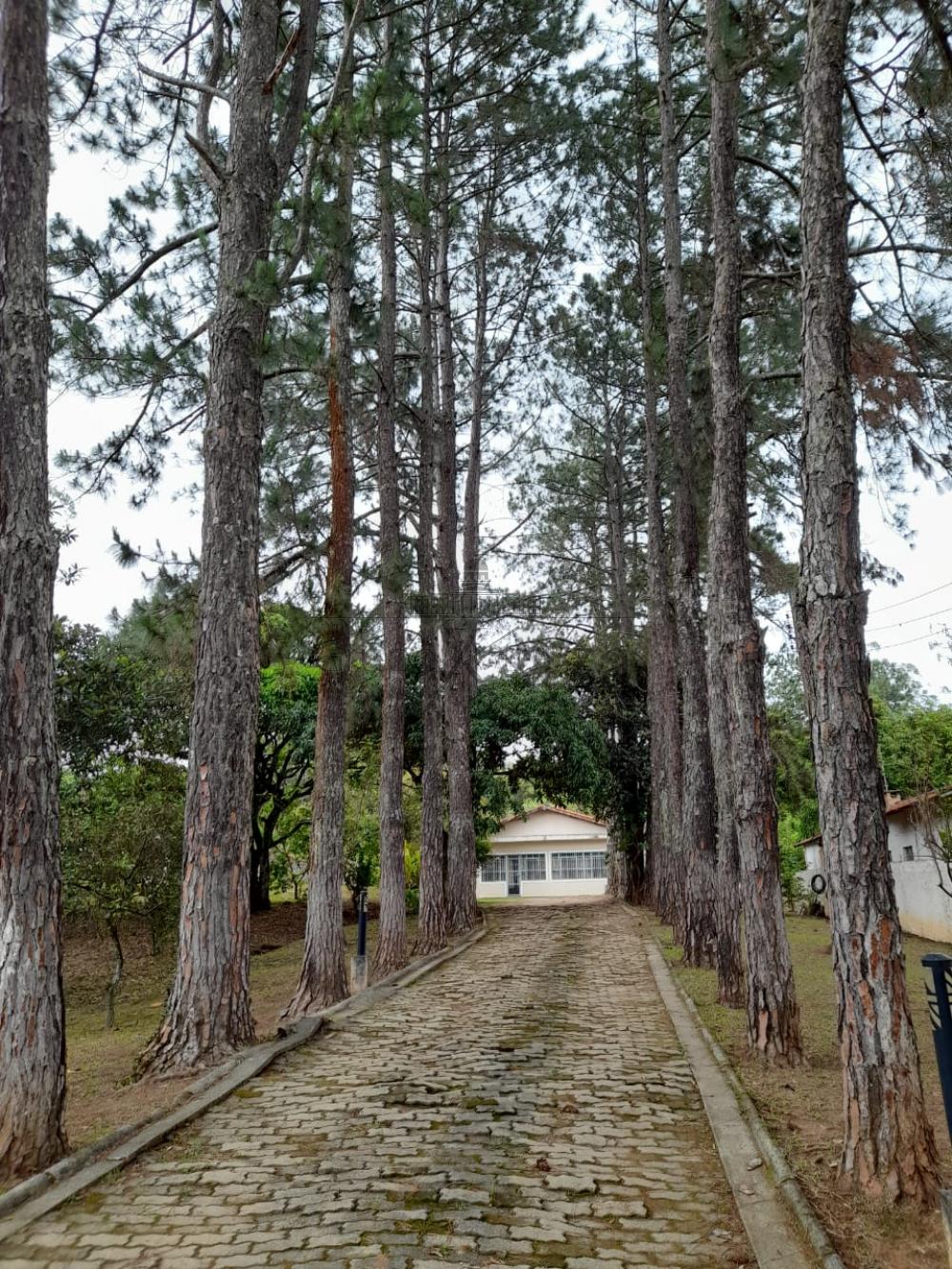 Foto 31 de Rural Chácara em Jardim Santa Hermínia, São José dos Campos - imagem 31