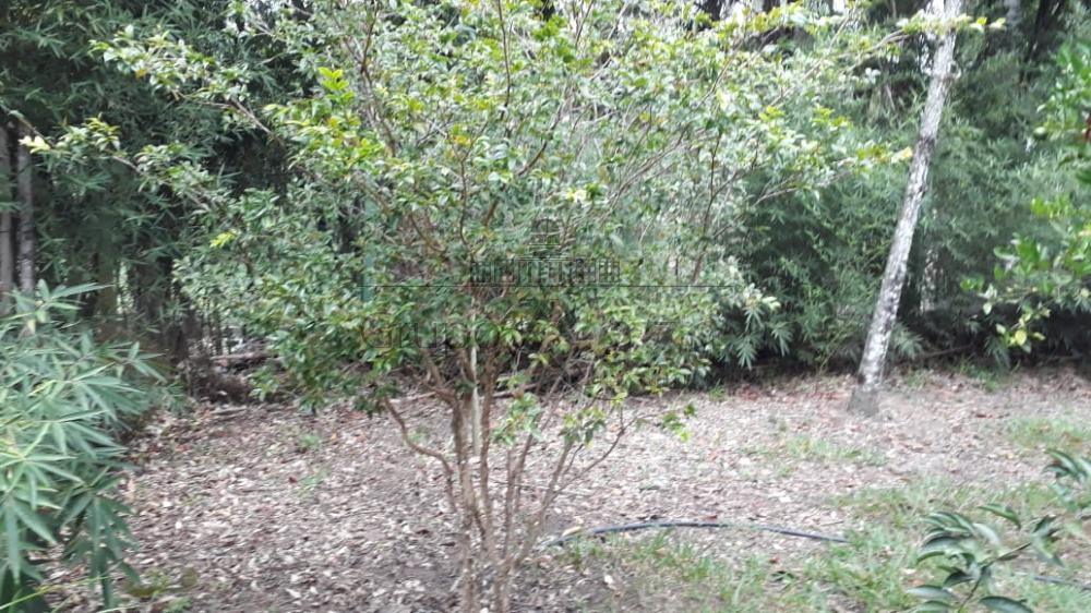 Foto 21 de Rural Chácara em Jardim Santa Hermínia, São José dos Campos - imagem 21