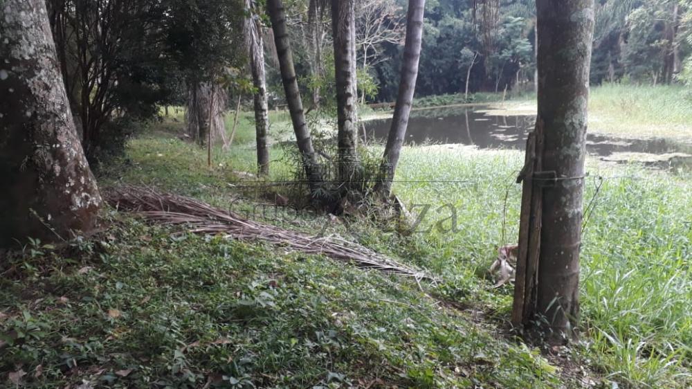Foto 30 de Rural Chácara em Jardim Santa Hermínia, São José dos Campos - imagem 30