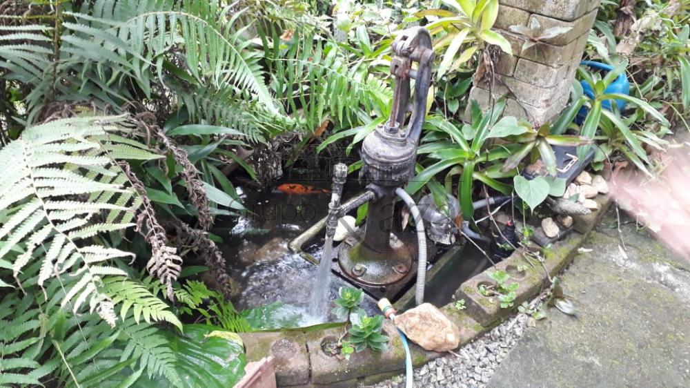 Foto 34 de Rural Chácara em Jardim Santa Hermínia, São José dos Campos - imagem 34