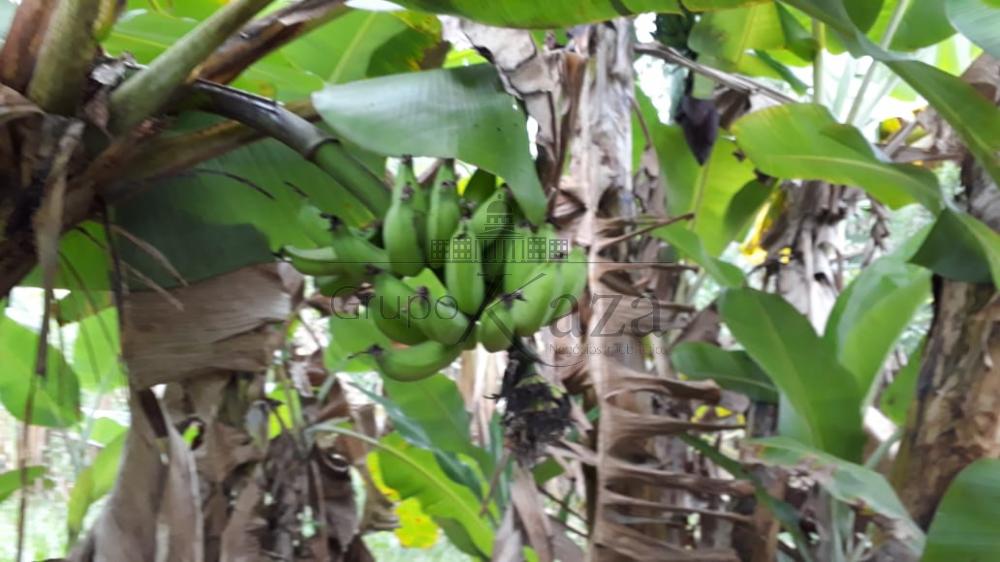 Foto 35 de Rural Chácara em Jardim Santa Hermínia, São José dos Campos - imagem 35