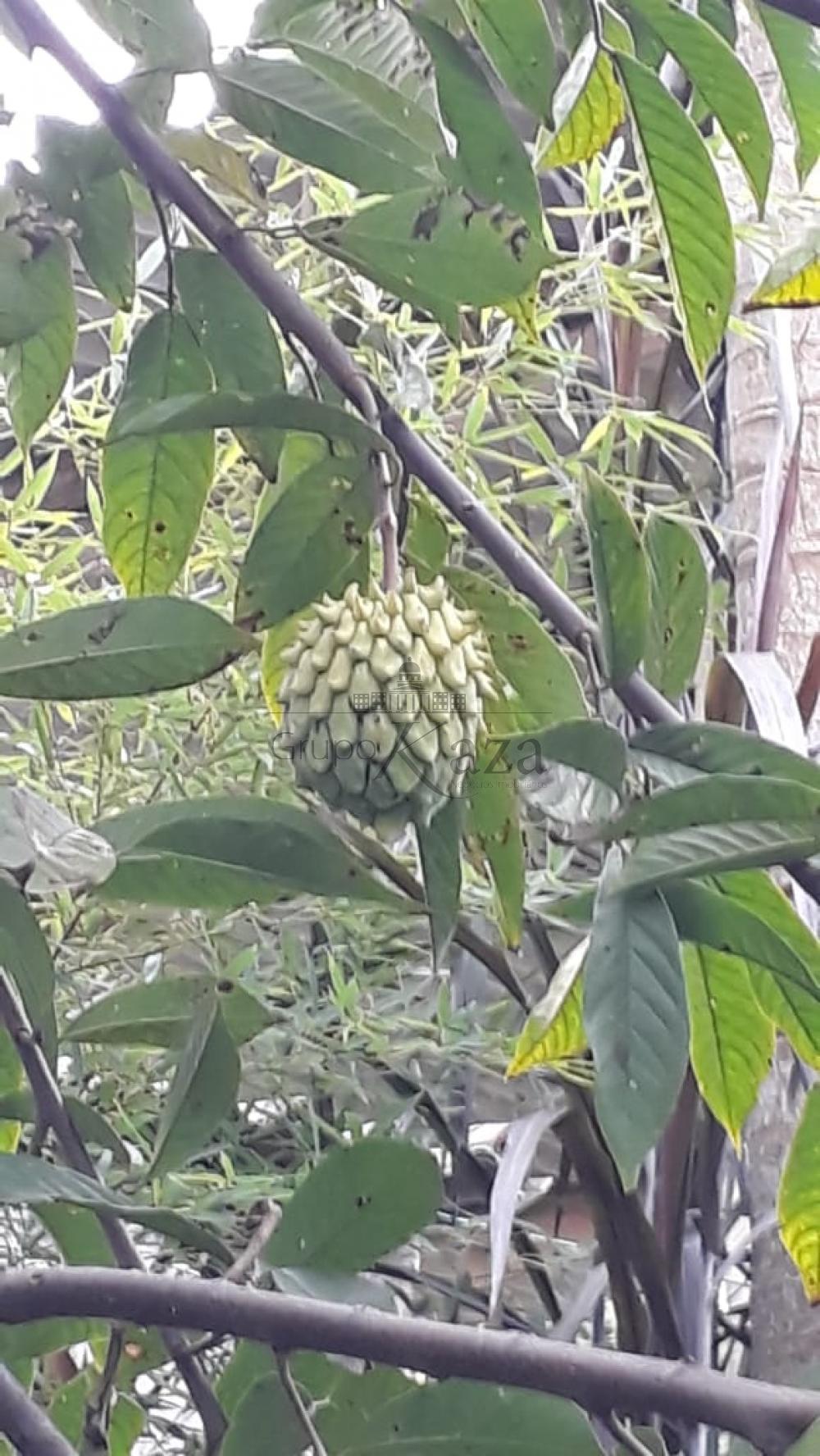 Foto 36 de Rural Chácara em Jardim Santa Hermínia, São José dos Campos - imagem 36