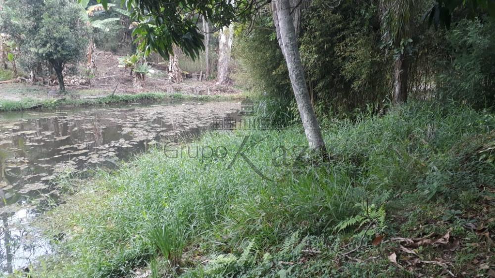Foto 37 de Rural Chácara em Jardim Santa Hermínia, São José dos Campos - imagem 37