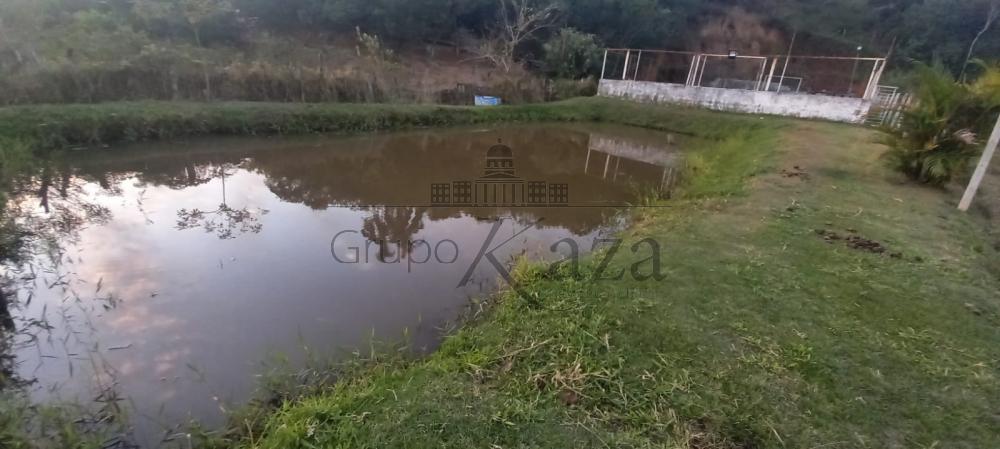 Tanque de Peixe