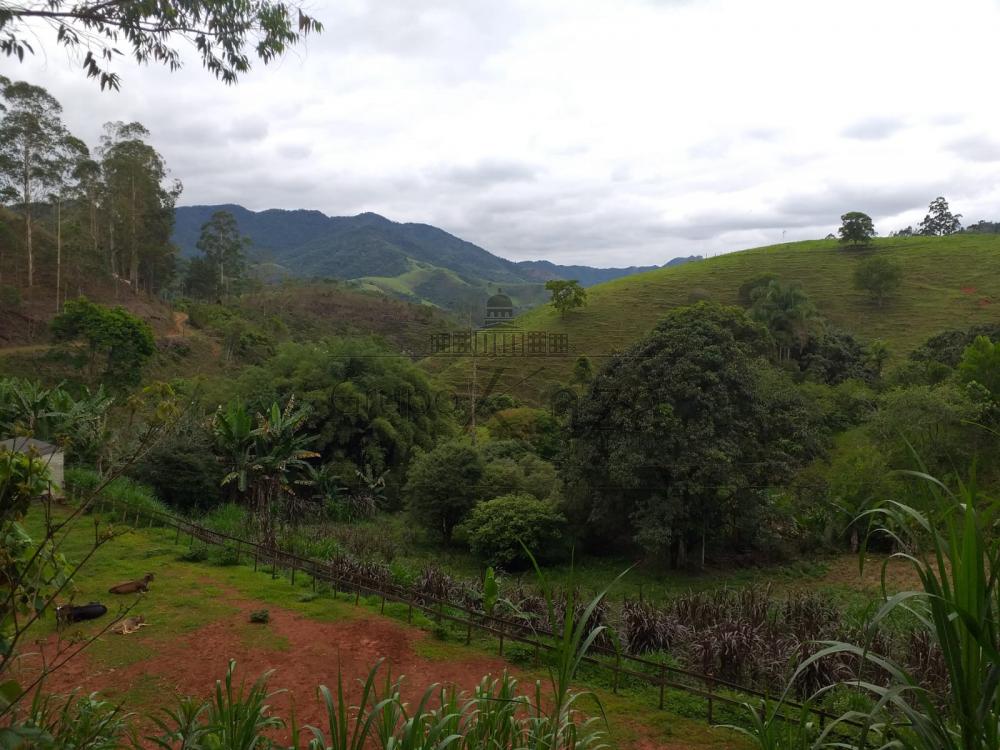 Foto 1 de Rural Sítio em São Francisco Xavier, São José dos Campos - imagem 1