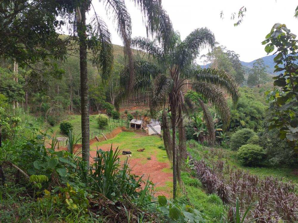 Foto 7 de Rural Sítio em São Francisco Xavier, São José dos Campos - imagem 7