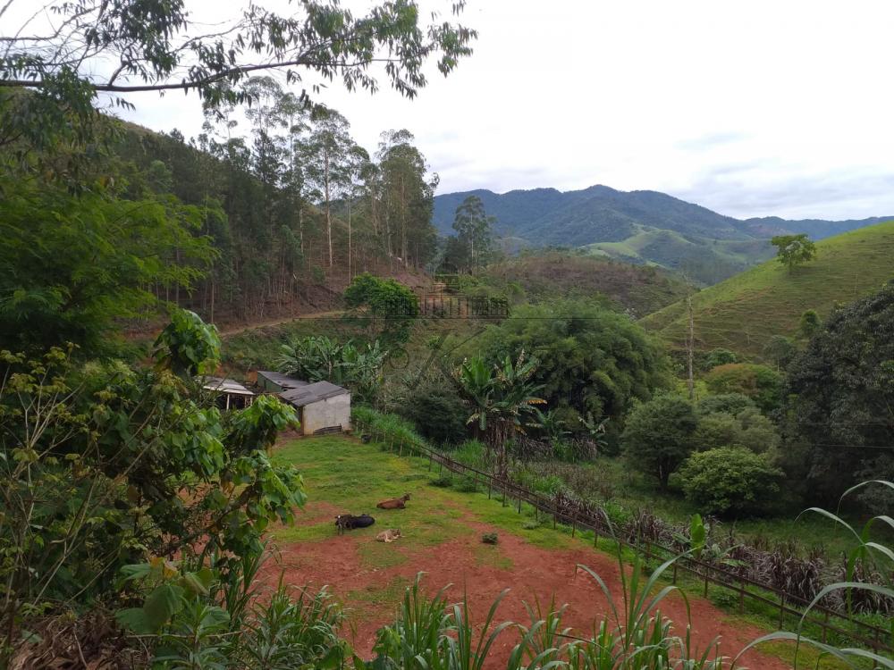 Foto 6 de Rural Sítio em São Francisco Xavier, São José dos Campos - imagem 6
