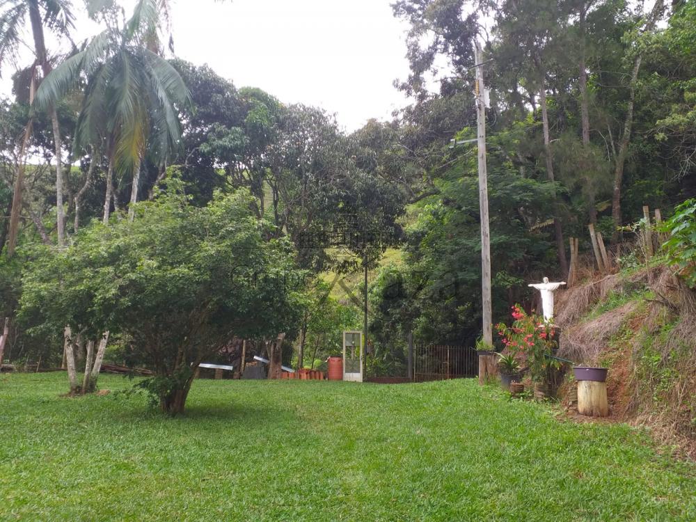 Foto 5 de Rural Sítio em São Francisco Xavier, São José dos Campos - imagem 5
