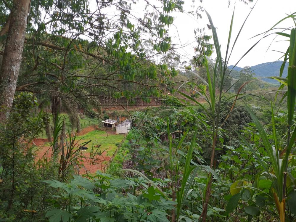 Foto 9 de Rural Sítio em São Francisco Xavier, São José dos Campos - imagem 9
