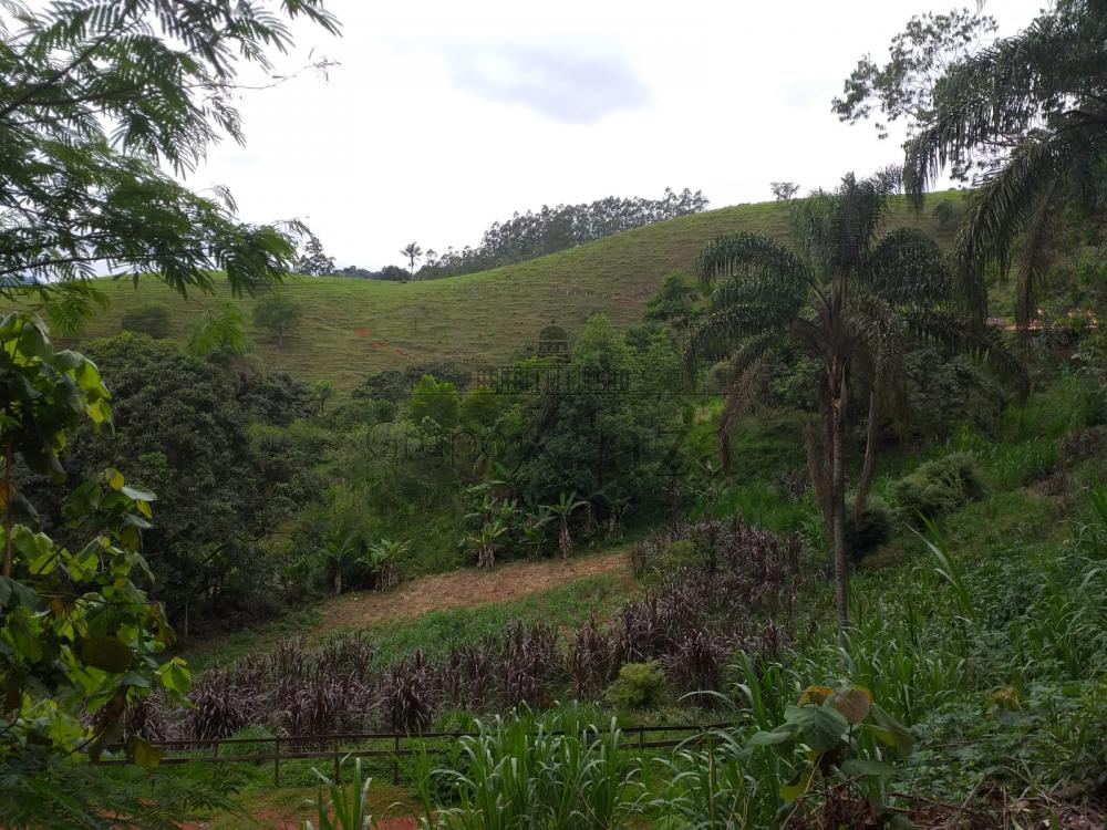 Foto 10 de Rural Sítio em São Francisco Xavier, São José dos Campos - imagem 10