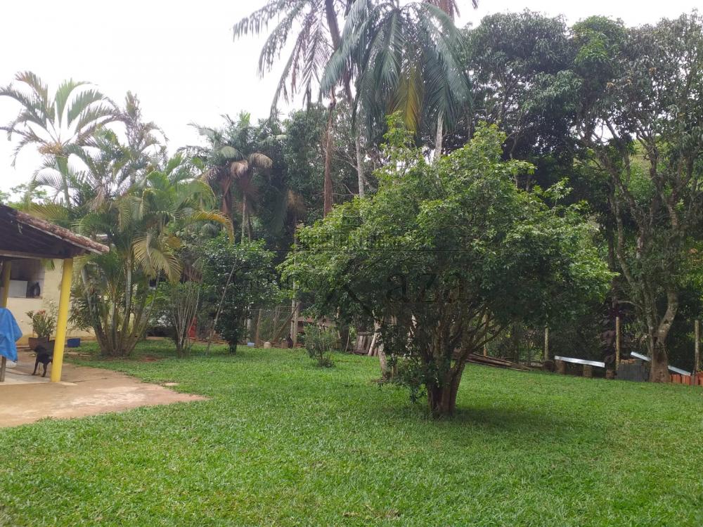 Foto 4 de Rural Sítio em São Francisco Xavier, São José dos Campos - imagem 4