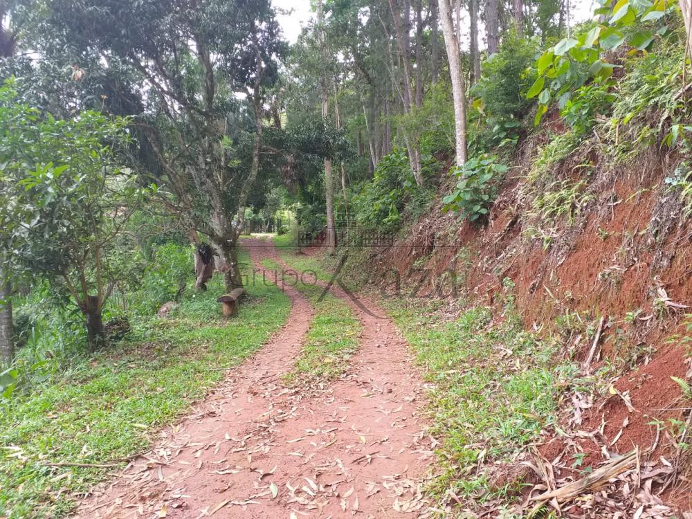 Foto 11 de Rural Sítio em São Francisco Xavier, São José dos Campos - imagem 11