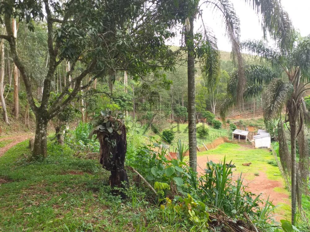 Foto 12 de Rural Sítio em São Francisco Xavier, São José dos Campos - imagem 12