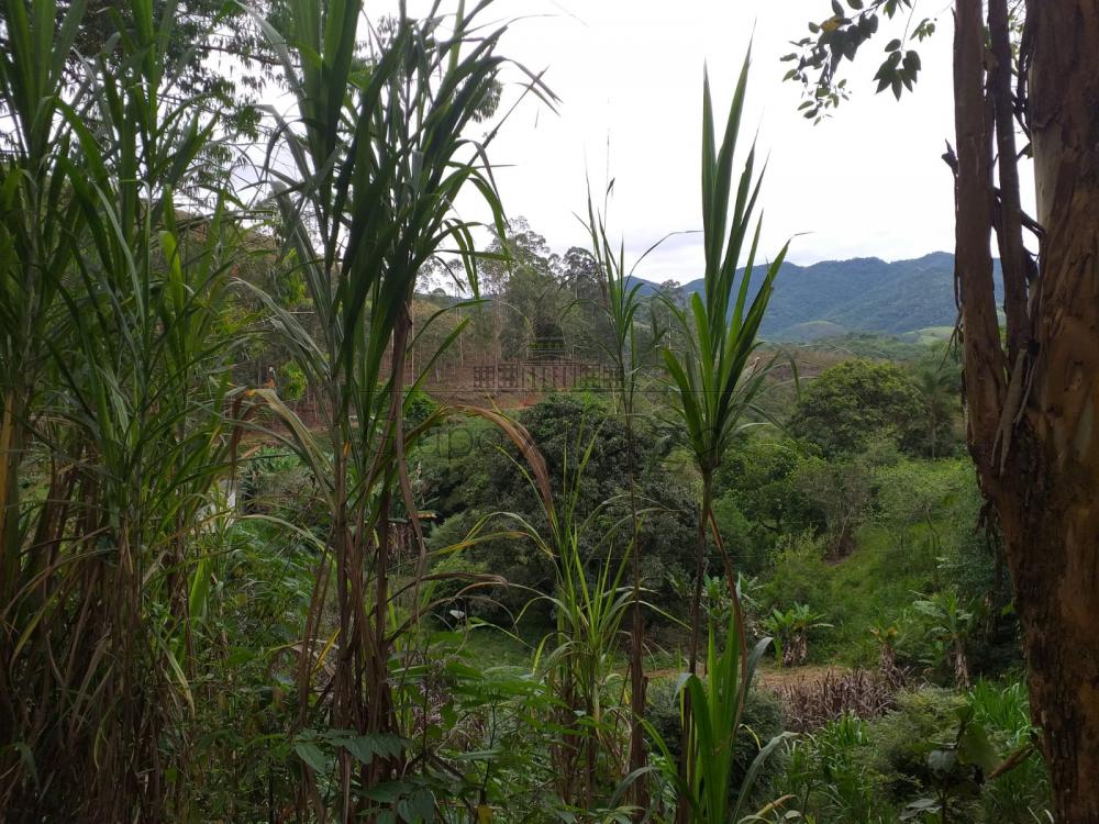 Foto 13 de Rural Sítio em São Francisco Xavier, São José dos Campos - imagem 13