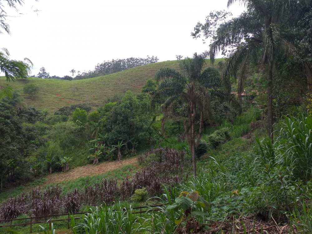 Foto 14 de Rural Sítio em São Francisco Xavier, São José dos Campos - imagem 14