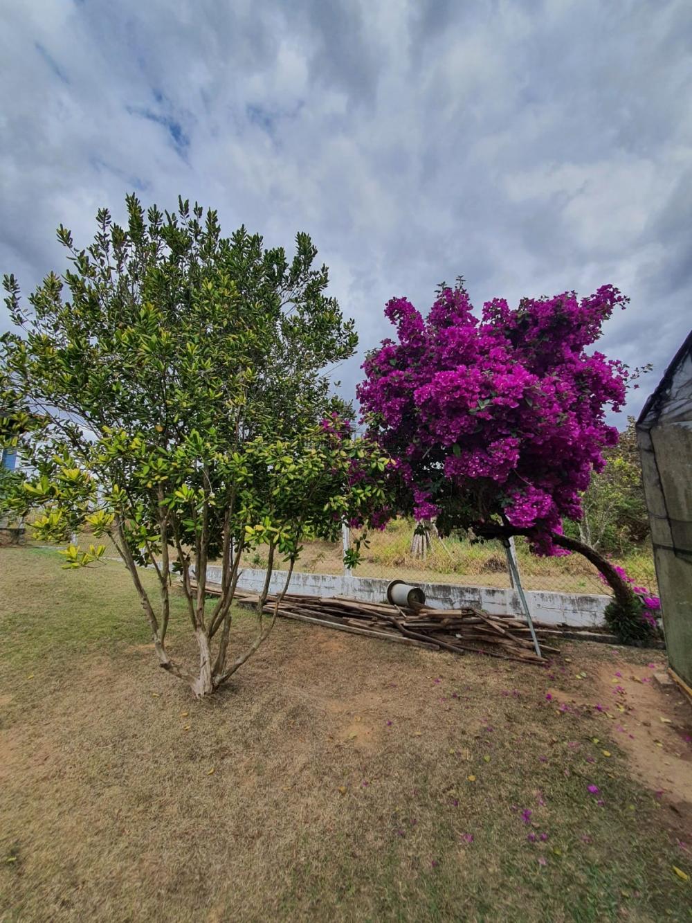 Foto 87 de Rural Chácara em Sítio Portal Vila Rica, Caçapava - imagem 87