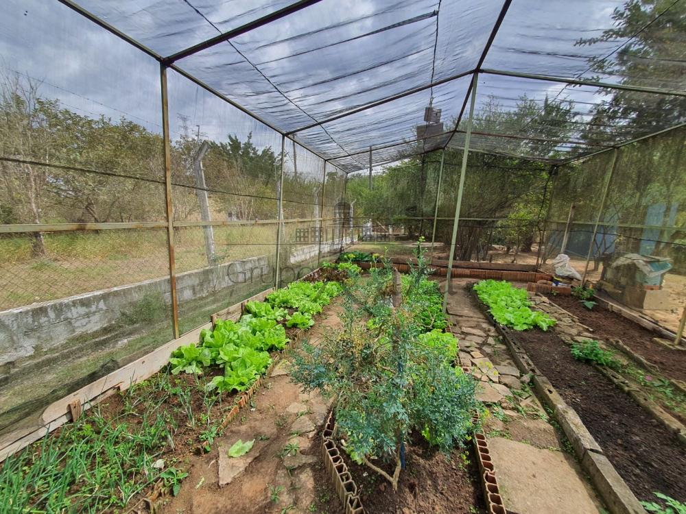 Foto 60 de Rural Chácara em Sítio Portal Vila Rica, Caçapava - imagem 60