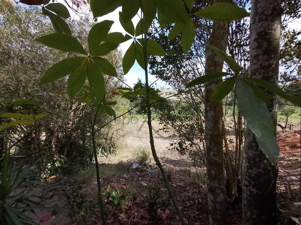 Foto 2 de Terreno Padrão em Veraneio Irajá, Jacareí - imagem 2