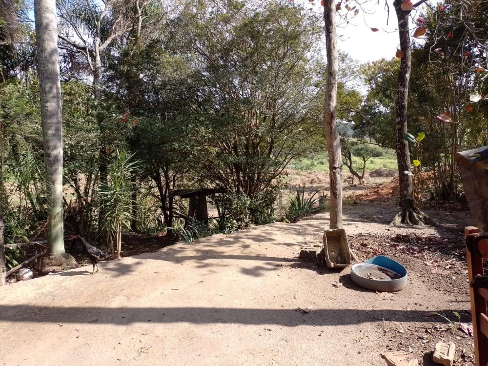 Foto 3 de Rural Padrão em Veraneio Irajá, Jacareí - imagem 3