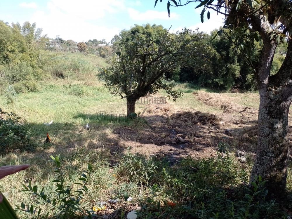 Foto 9 de Rural Padrão em Veraneio Irajá, Jacareí - imagem 9