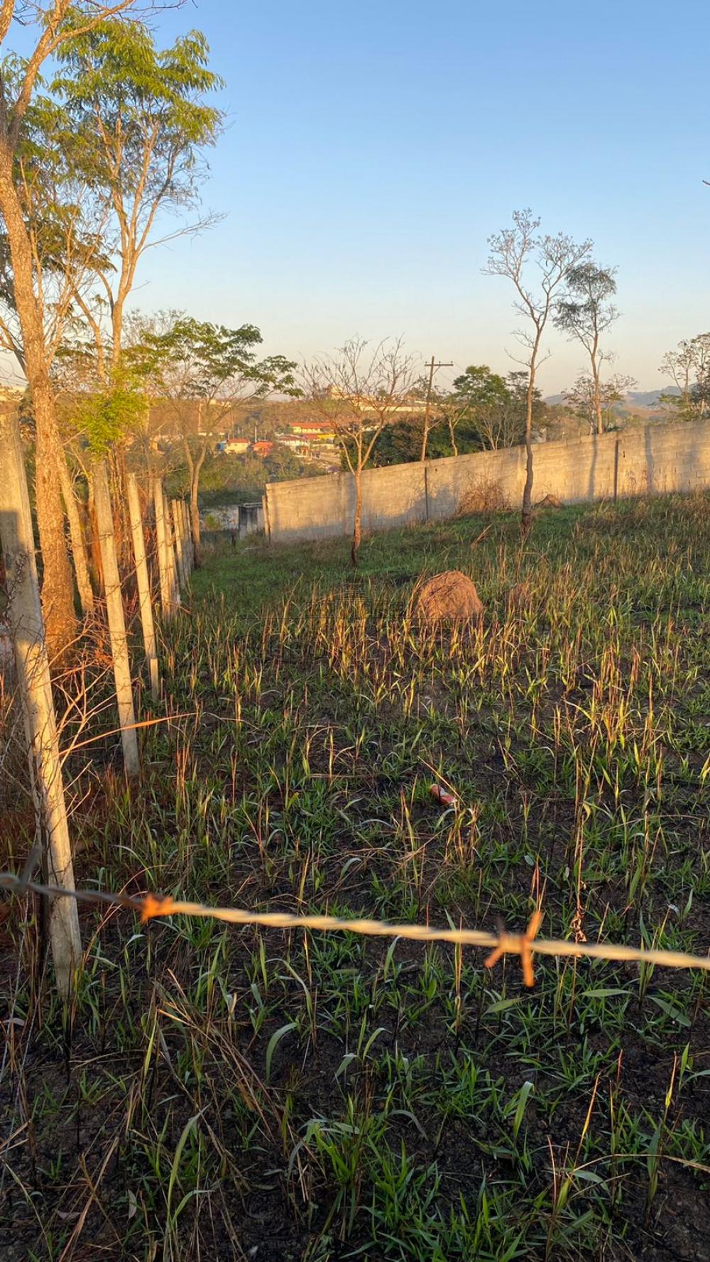 Foto 4 de Terreno Padrão em Veraneio Irajá, Jacareí - imagem 4