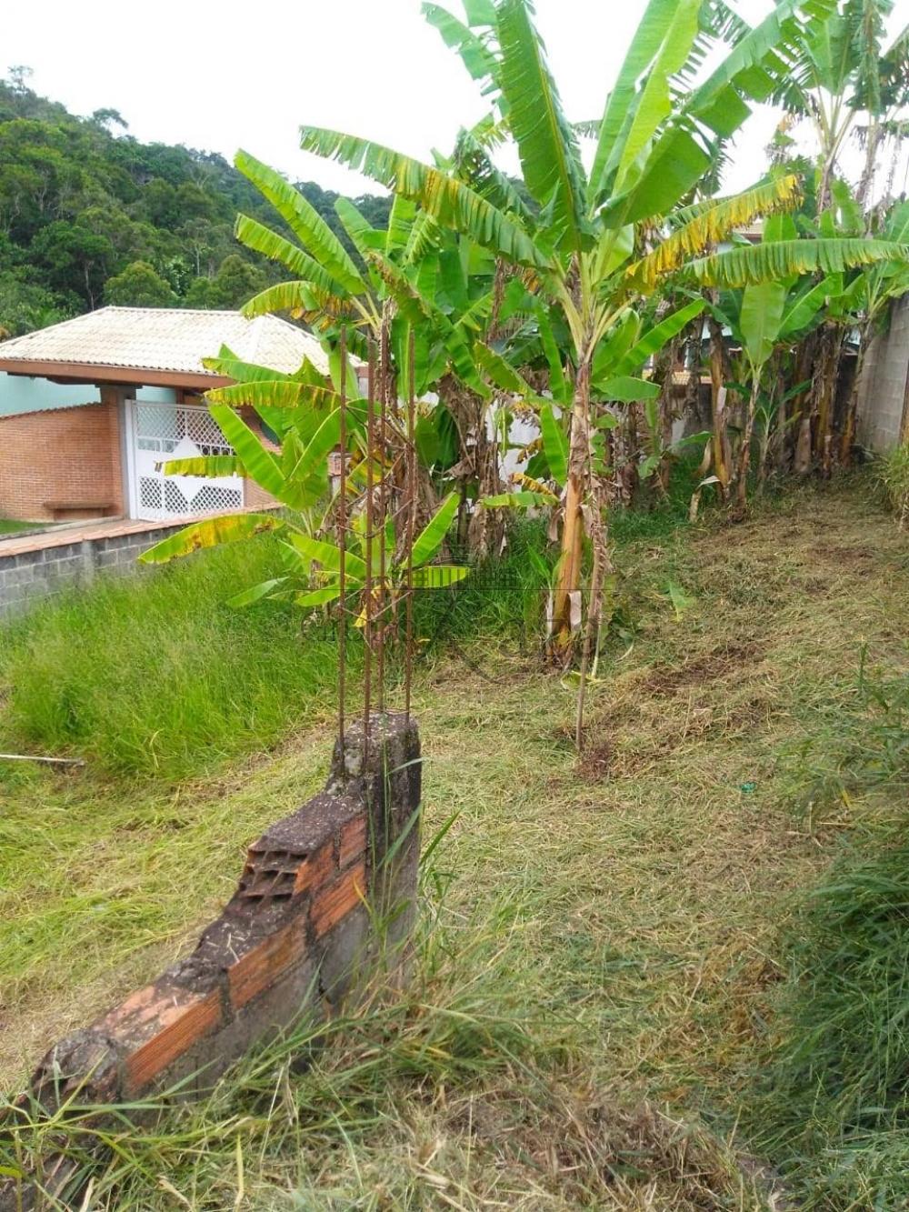 Foto 2 de Terreno Padrão em Buquirinha II, São José dos Campos - imagem 2