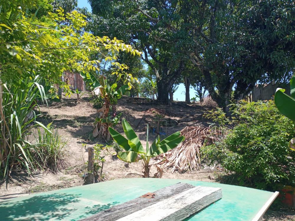 Foto 7 de Rural Chácara em Chácaras Reunidas Igarapés, Jacareí - imagem 7