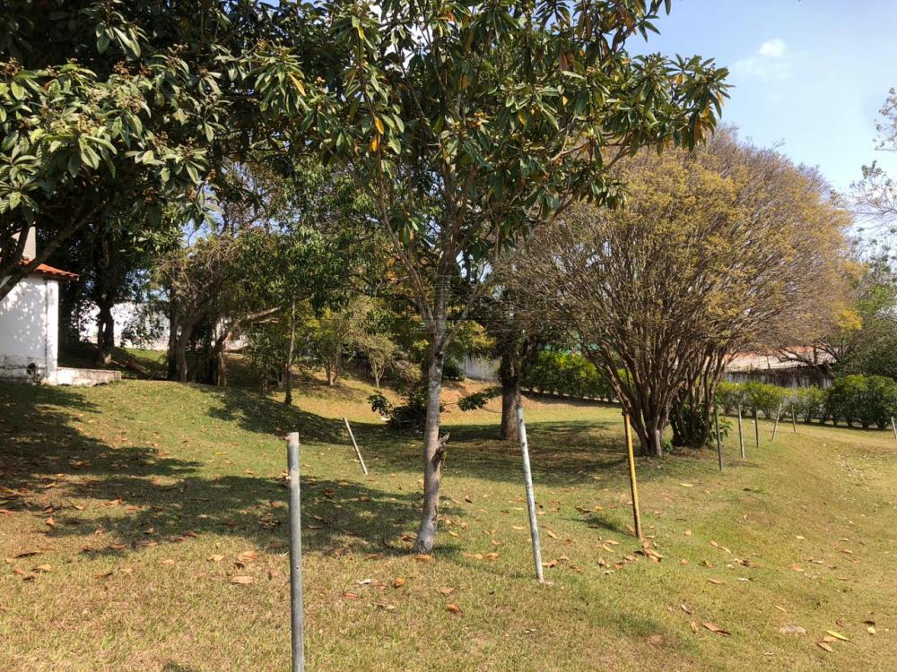 Foto 15 de Rural Chácara em Jardim Santa Hermínia, São José dos Campos - imagem 15