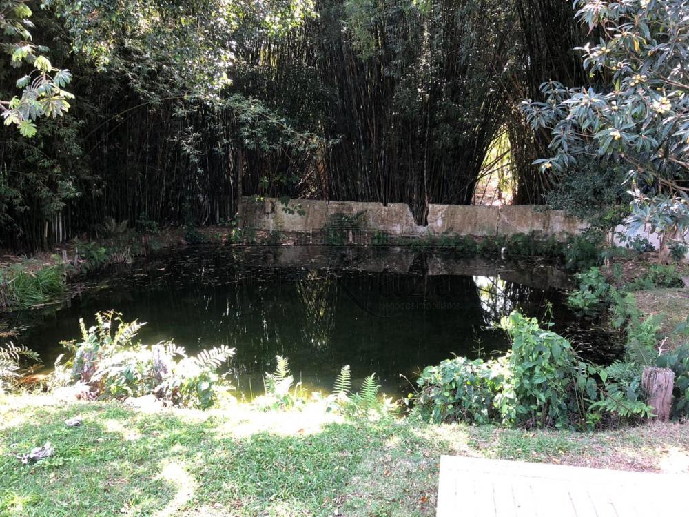 Foto 22 de Rural Chácara em Jardim Santa Hermínia, São José dos Campos - imagem 22