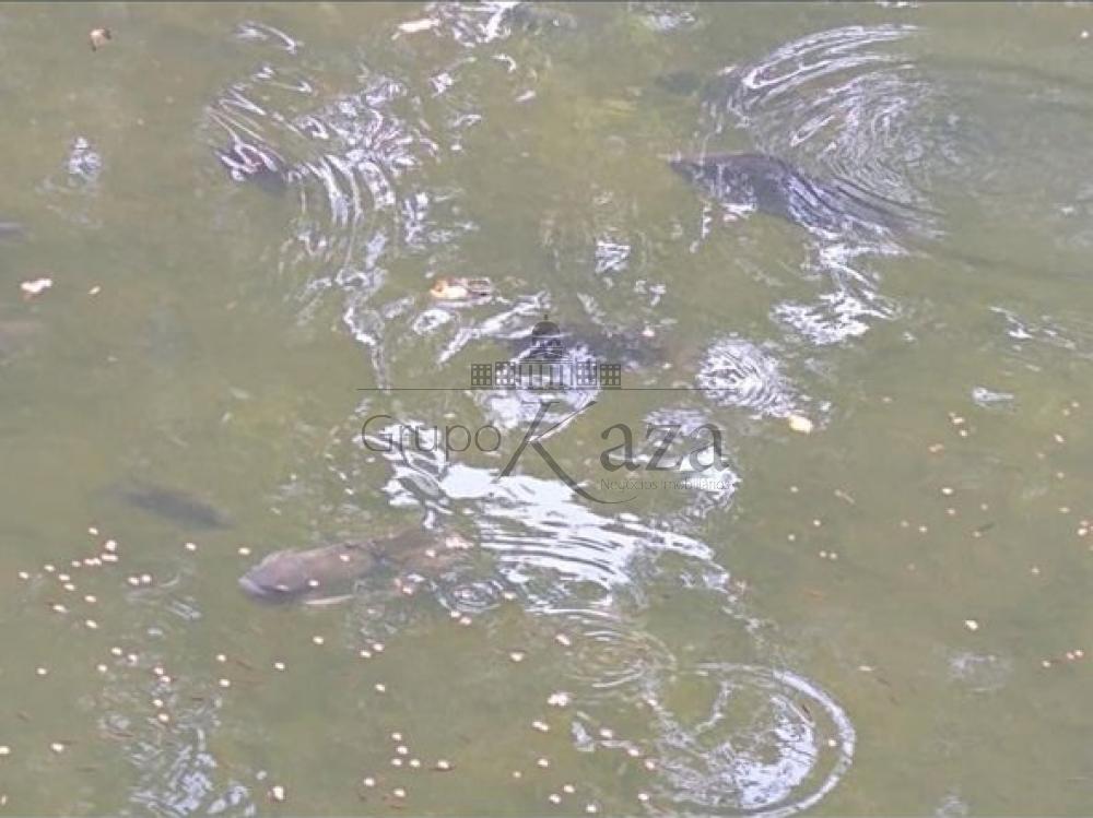 Foto 23 de Rural Chácara em Jardim Santa Hermínia, São José dos Campos - imagem 23