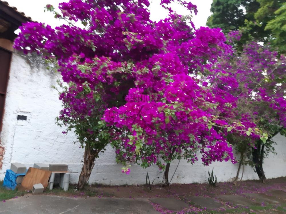 Foto 12 de Rural Chácara em Vila Areao, Taubaté - imagem 12