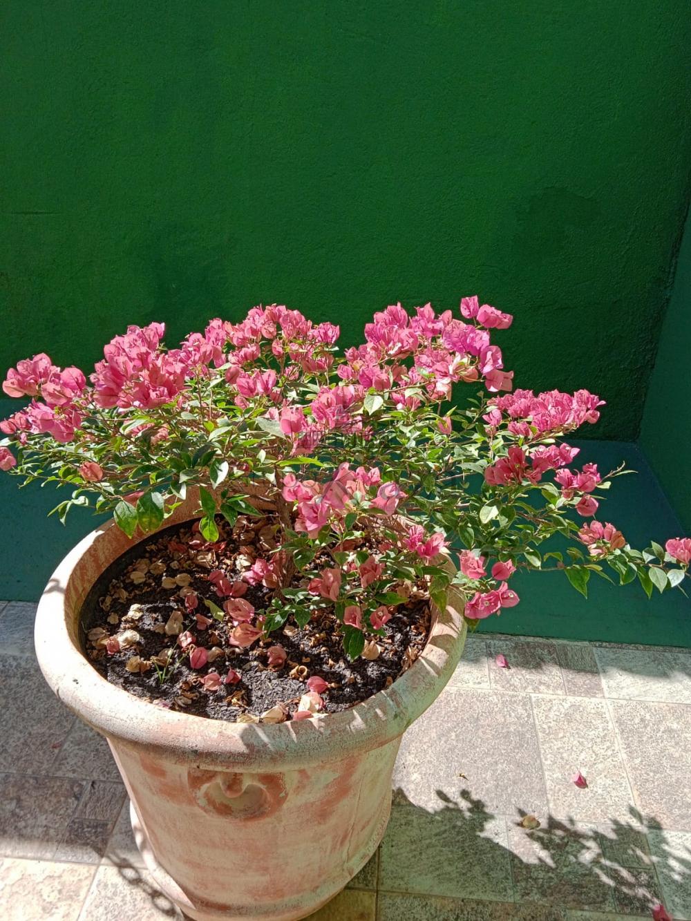 Foto 25 de Casa Sobrado em Piedade, Caçapava - imagem 25