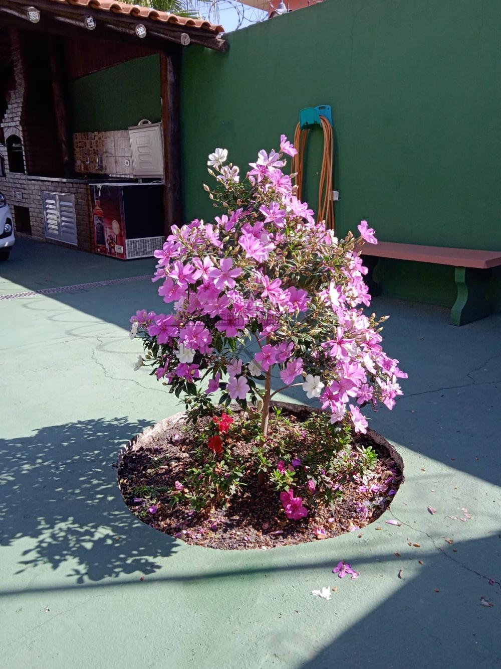 Foto 26 de Casa Sobrado em Piedade, Caçapava - imagem 26