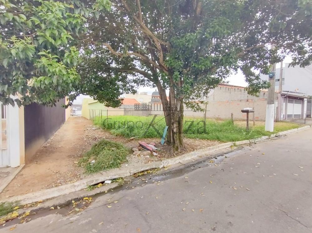 Foto 11 de Terreno Padrão em Parque Residencial Santo André, Caçapava - imagem 11