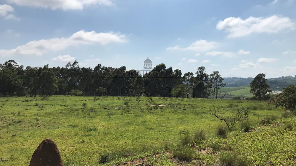 Foto 2 de Área Industrial em Bairro da Pernambucana, São José dos Campos - imagem 2