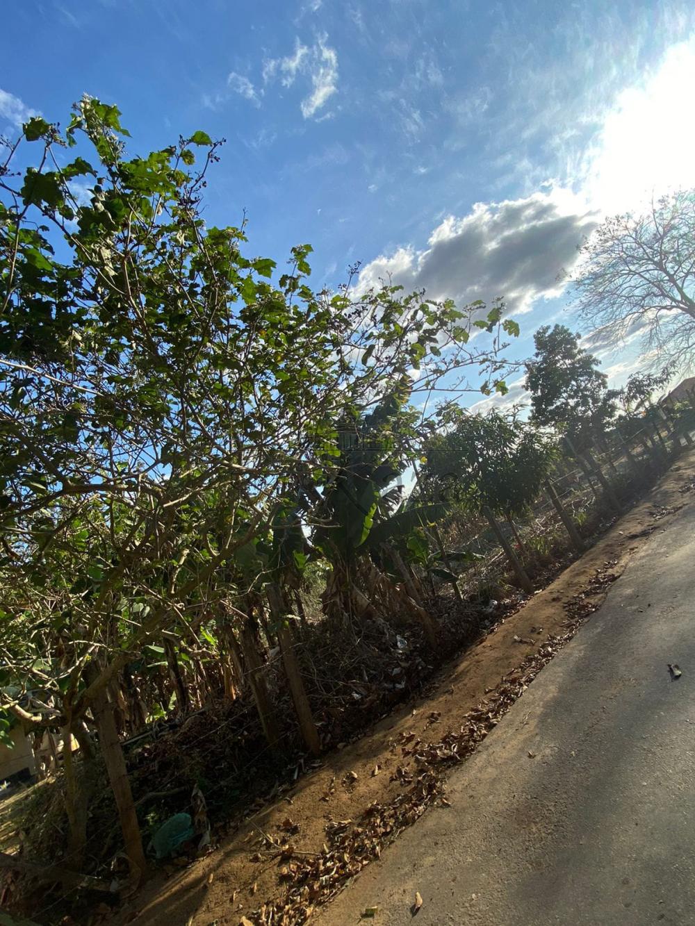 Foto 4 de Terreno Padrão em Jardim Primavera II, São José dos Campos - imagem 4