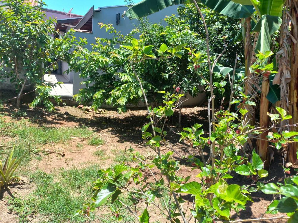 Foto 18 de Casa Padrão em Parque Residencial Santo André, Caçapava - imagem 18