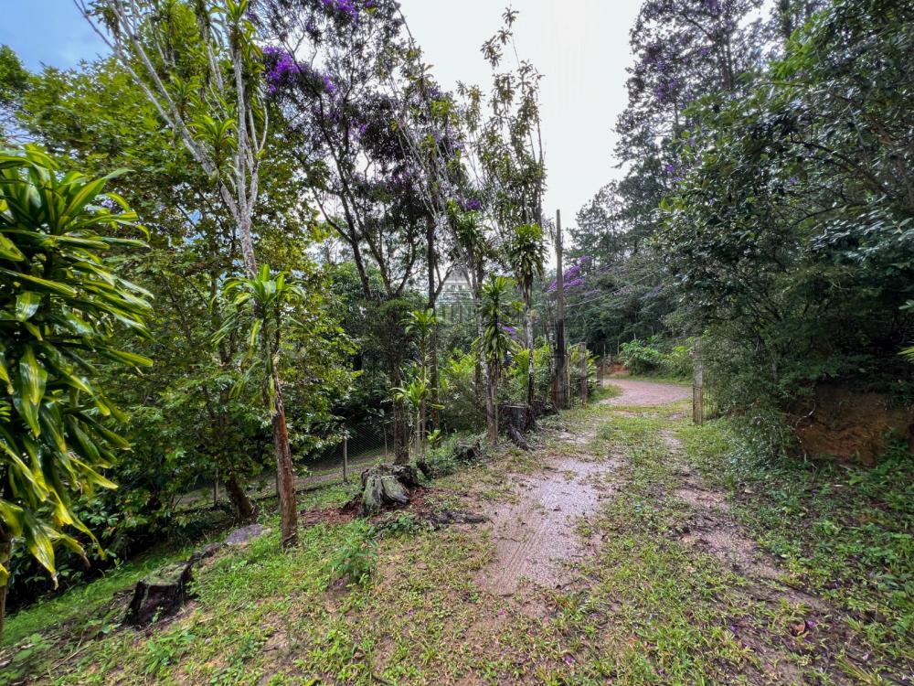 Foto 4 de Rural Chácara em Jardim Torrão de Ouro, São José dos Campos - imagem 4