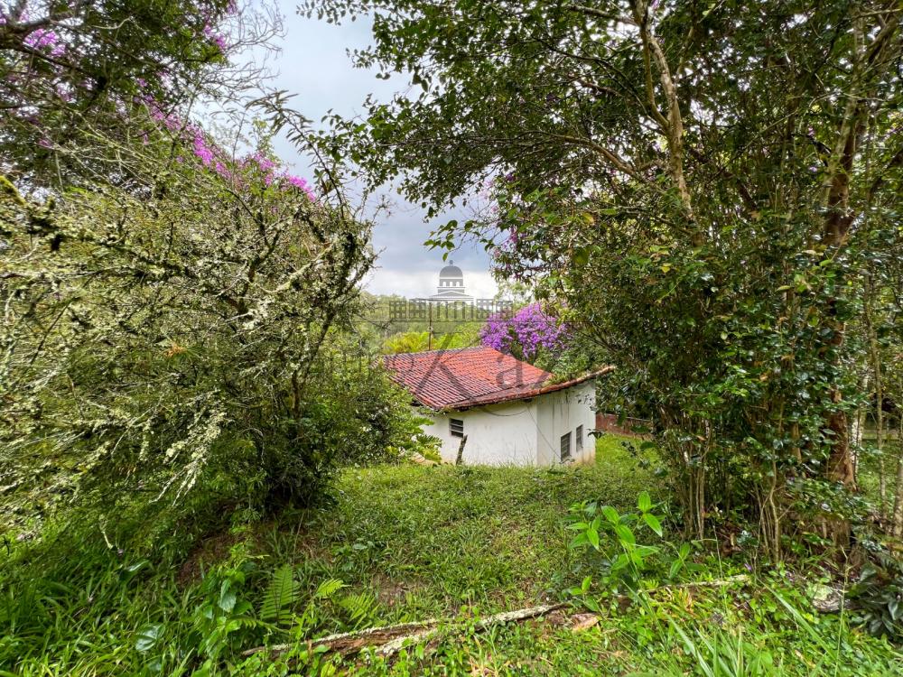 Foto 8 de Rural Chácara em Jardim Torrão de Ouro, São José dos Campos - imagem 8