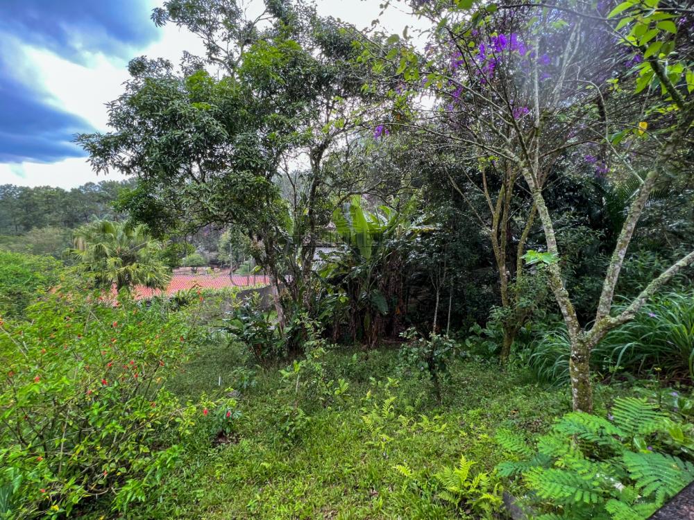 Foto 11 de Rural Chácara em Jardim Torrão de Ouro, São José dos Campos - imagem 11